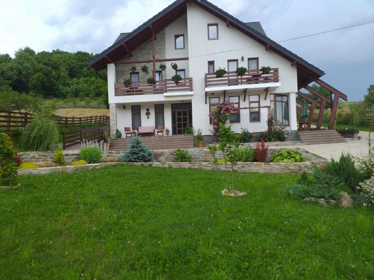 Hotel Pensiunea Doina Bucovinei Mînăstirea Humorului Esterno foto