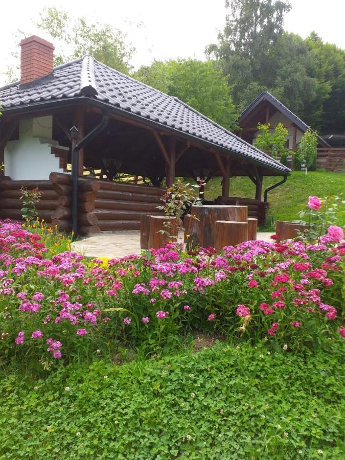 Hotel Pensiunea Doina Bucovinei Mînăstirea Humorului Esterno foto