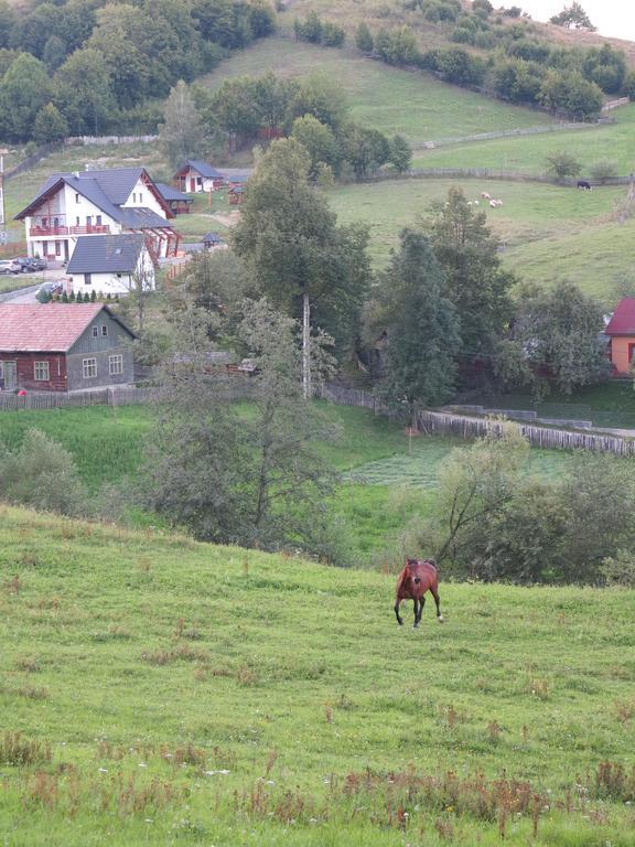 Hotel Pensiunea Doina Bucovinei Mînăstirea Humorului Esterno foto