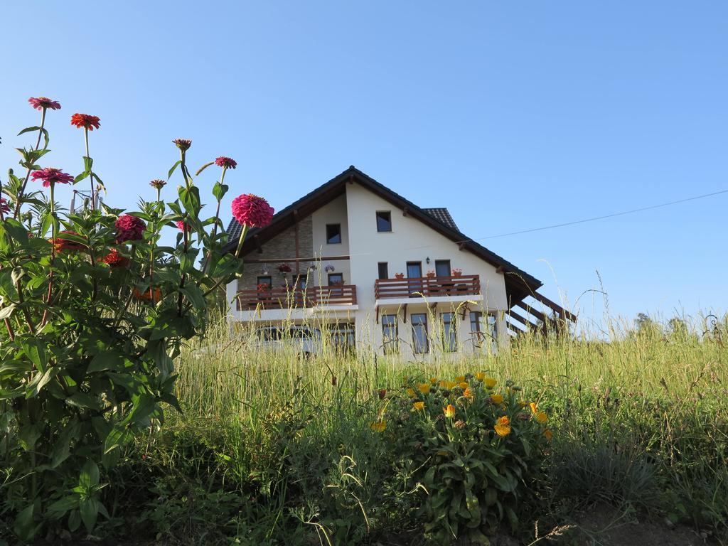 Hotel Pensiunea Doina Bucovinei Mînăstirea Humorului Esterno foto